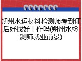 朔州水运材料检测师考到证后好找好工作吗(朔州水检测师就业前景)