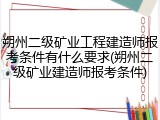 朔州二级矿业工程建造师报考条件有什么要求(朔州二级矿业建造师报考条件)