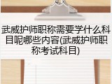 武威护师职称需要学什么科目呢哪些内容(武威护师职称考试科目)