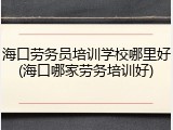 海口劳务员培训学校哪里好(海口哪家劳务培训好)