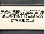武威中级消防安全管理员考试去哪里线下报名(武威消防考试报名点)