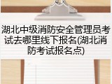 湖北中级消防安全管理员考试去哪里线下报名(湖北消防考试报名点)