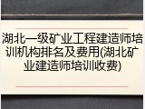 湖北一级矿业工程建造师培训机构排名及费用(湖北矿业建造师培训收费)