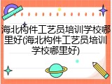 海北构件工艺员培训学校哪里好(海北构件工艺员培训学校哪里好)
