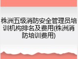 株洲五级消防安全管理员培训机构排名及费用(株洲消防培训费用)