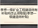 孝感一级矿业工程建造师有补贴吗怎么领取呢(孝感一级建造师补贴)