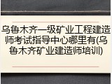 乌鲁木齐一级矿业工程建造师考试指导中心哪里有(乌鲁木齐矿业建造师培训)