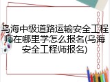 乌海中级道路运输安全工程师在哪里学怎么报名(乌海安全工程师报名)