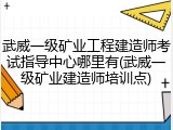 武威一级矿业工程建造师考试指导中心哪里有(武威一级矿业建造师培训点)