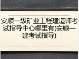 安顺一级矿业工程建造师考试指导中心哪里有(安顺一建考试指导)