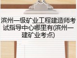 滨州一级矿业工程建造师考试指导中心哪里有(滨州一建矿业考点)