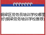 铜梁区劳务员培训学校哪里好(铜梁劳务培训学校推荐)