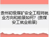 贵州初级煤矿安全工程师就业方向和前景如何？(贵煤安工就业前景)