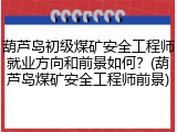 葫芦岛初级煤矿安全工程师就业方向和前景如何?(葫芦岛煤矿安全工程师前景)