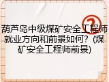 葫芦岛中级煤矿安全工程师就业方向和前景如何？(煤矿安全工程师前景)