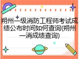 朔州一级消防工程师考试成绩公布时间如何查询(朔州一消成绩查询)