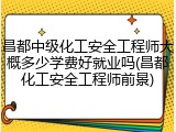 昌都中级化工安全工程师大概多少学费好就业吗(昌都化工安全工程师前景)