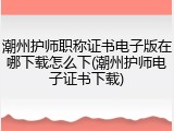潮州护师职称证书电子版在哪下载怎么下(潮州护师电子证书下载)