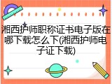 湘西护师职称证书电子版在哪下载怎么下(湘西护师电子证下载)