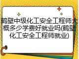 鹤壁中级化工安全工程师大概多少学费好就业吗(鹤壁化工安全工程师就业)