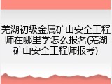 芜湖初级金属矿山安全工程师在哪里学怎么报名(芜湖矿山安全工程师报考)
