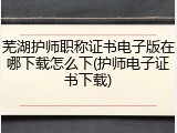 芜湖护师职称证书电子版在哪下载怎么下(护师电子证书下载)