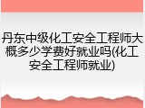 丹东中级化工安全工程师大概多少学费好就业吗(化工安全工程师就业)