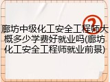 廊坊中级化工安全工程师大概多少学费好就业吗(廊坊化工安全工程师就业前景)
