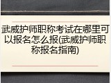 武威护师职称考试在哪里可以报名怎么报(武威护师职称报名指南)
