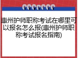 惠州护师职称考试在哪里可以报名怎么报(惠州护师职称考试报名指南)