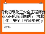海北初级化工安全工程师就业方向和前景如何？(海北化工安全工程师前景)