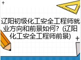 辽阳初级化工安全工程师就业方向和前景如何？(辽阳化工安全工程师前景)