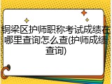 铜梁区护师职称考试成绩在哪里查询怎么查(护师成绩查询)