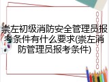 崇左初级消防安全管理员报考条件有什么要求(崇左消防管理员报考条件)