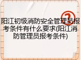 阳江初级消防安全管理员报考条件有什么要求(阳江消防管理员报考条件)