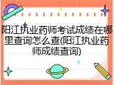 阳江执业药师考试成绩在哪里查询怎么查(阳江执业药师成绩查询)