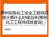 郴州初级化工安全工程师成绩大概什么时候出来(郴州化工工程师成绩查询)