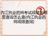 内江执业药师考试成绩在哪里查询怎么查(内江执业药师成绩查询)