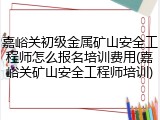 嘉峪关初级金属矿山安全工程师怎么报名培训费用(嘉峪关矿山安全工程师培训)