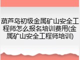 葫芦岛初级金属矿山安全工程师怎么报名培训费用(金属矿山安全工程师培训)