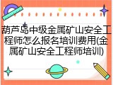 葫芦岛中级金属矿山安全工程师怎么报名培训费用(金属矿山安全工程师培训)
