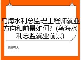乌海水利总监理工程师就业方向和前景如何？(乌海水利总监就业前景)