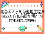乌鲁木齐水利总监理工程师就业方向和前景如何？(乌市水利总监前景)