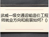 武威一级交通运输造价工程师就业方向和前景如何？()