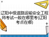 辽阳中级道路运输安全工程师考试一般在哪里考(辽阳考点在哪)