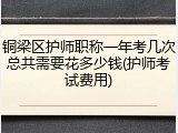 铜梁区护师职称一年考几次总共需要花多少钱(护师考试费用)