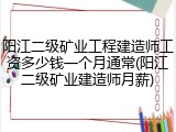 阳江二级矿业工程建造师工资多少钱一个月通常(阳江二级矿业建造师月薪)