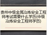 贵州中级金属冶炼安全工程师考试需要什么学历(中级冶炼安全工程师学历)
