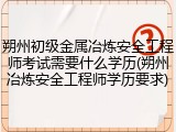 朔州初级金属冶炼安全工程师考试需要什么学历(朔州冶炼安全工程师学历要求)