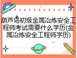 葫芦岛初级金属冶炼安全工程师考试需要什么学历(金属冶炼安全工程师学历)